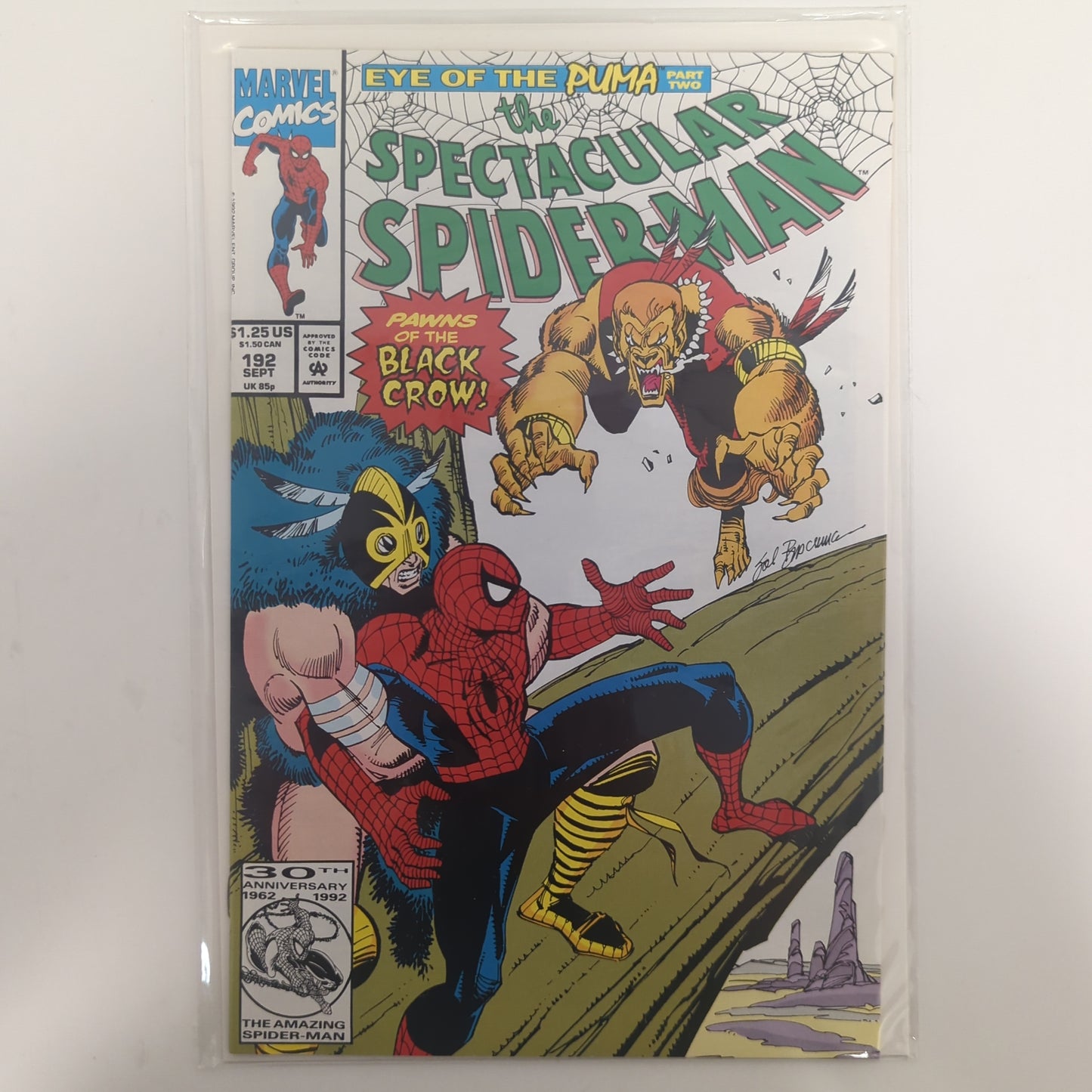 Spectacular Spider-Man #192 1992