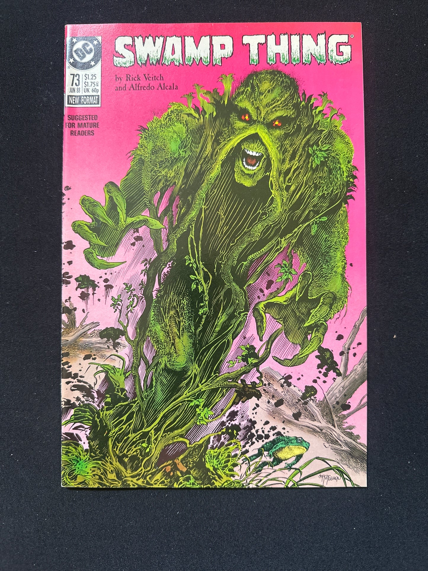 Saga of The Swamp Thing #73 1988