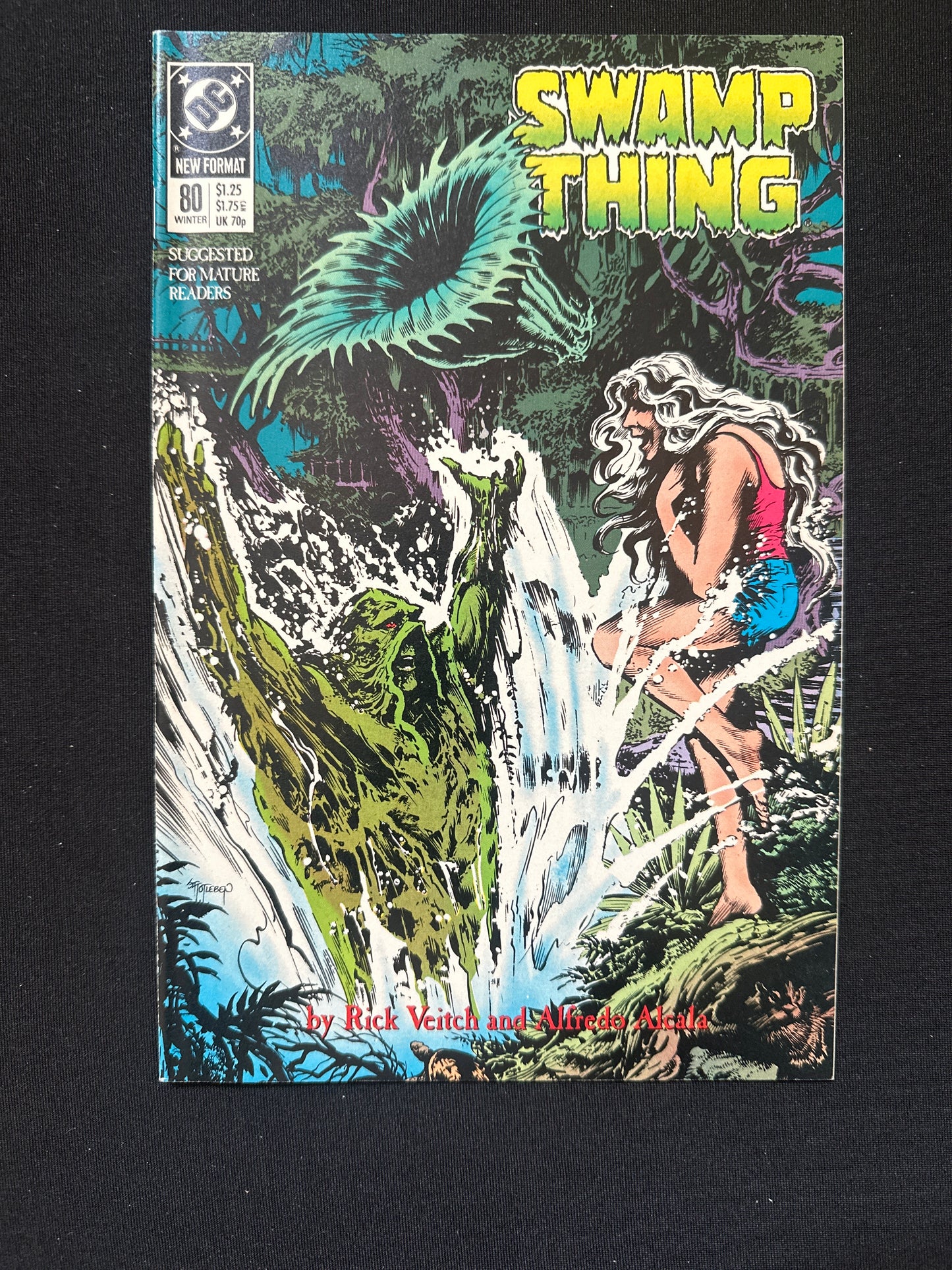 Saga of The Swamp Thing #80 1989