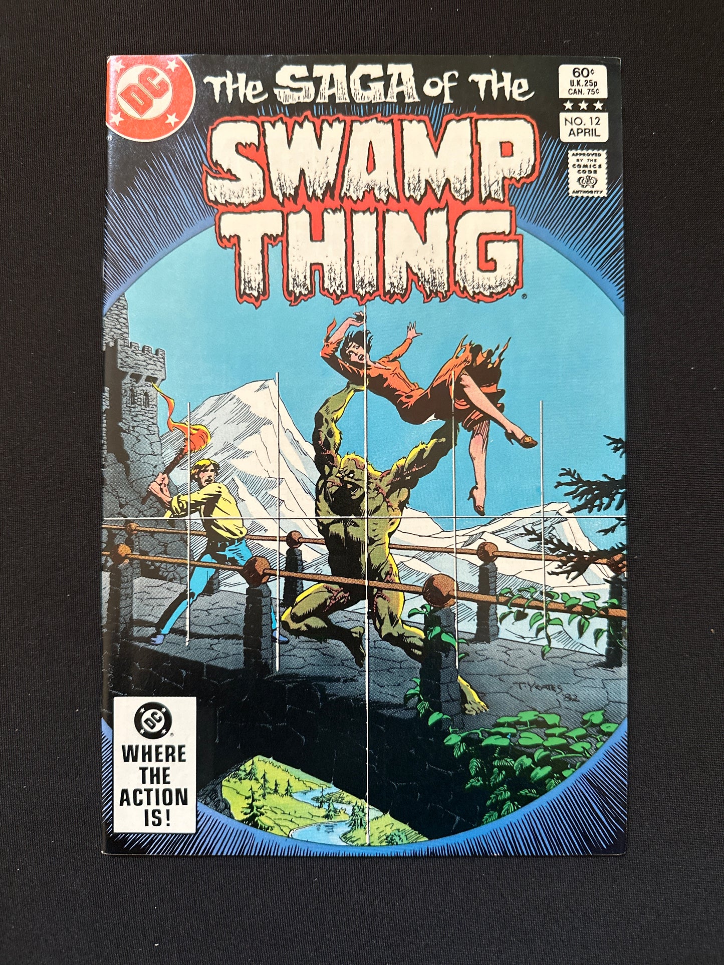 Saga of The Swamp Thing #12 1983