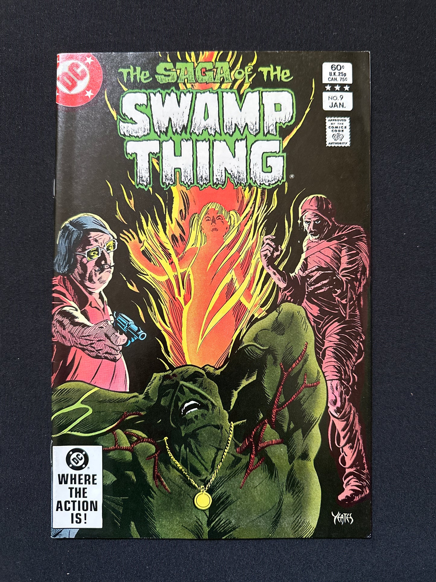 Saga of The Swamp Thing #9 1983