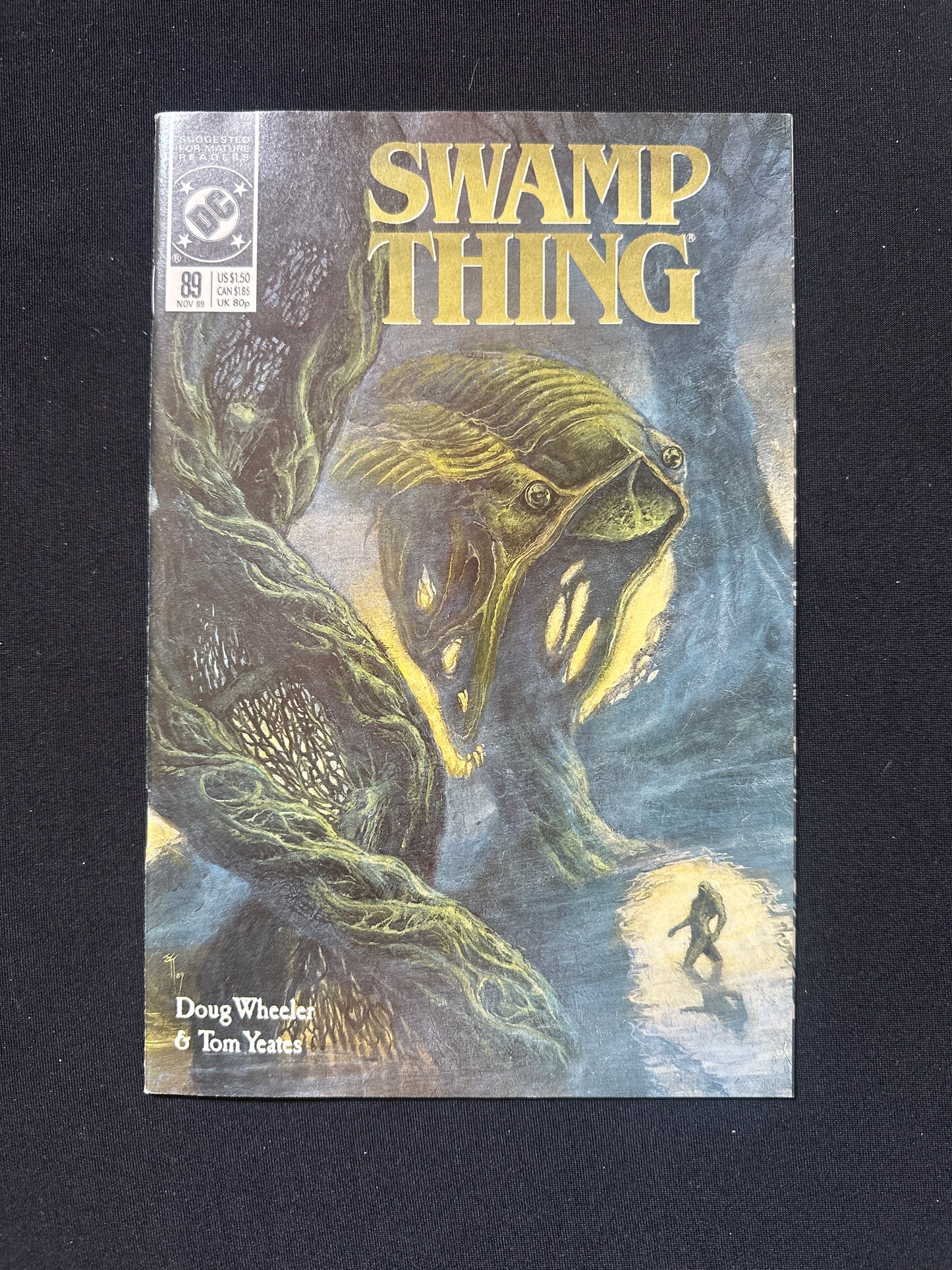 Saga of The Swamp Thing #89 1989