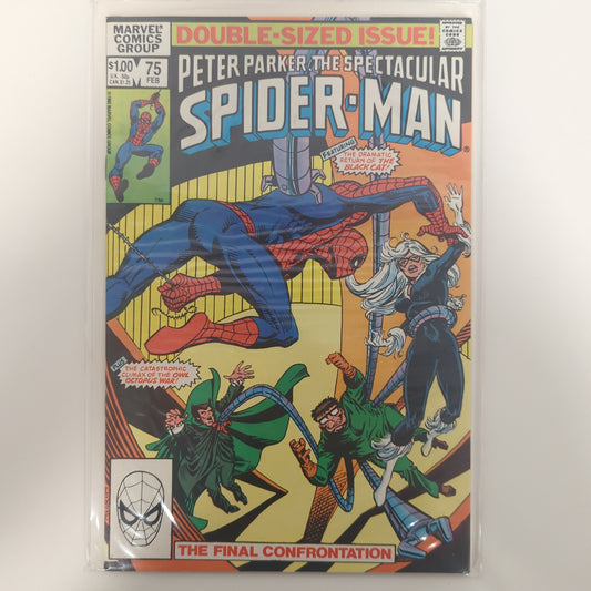 Peter Parker The Spectacular Spider-Man #75