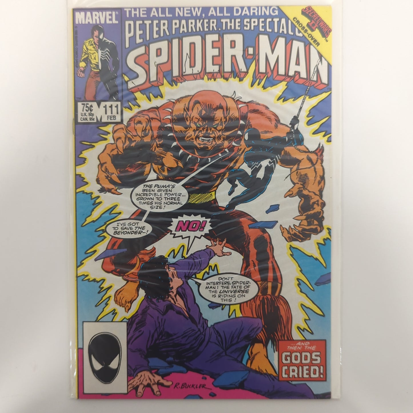 Peter Parker The Spectacular Spider-Man #111