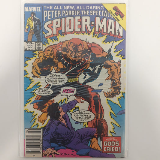 Peter Parker The Spectacular Spider-Man #111 Newsstand