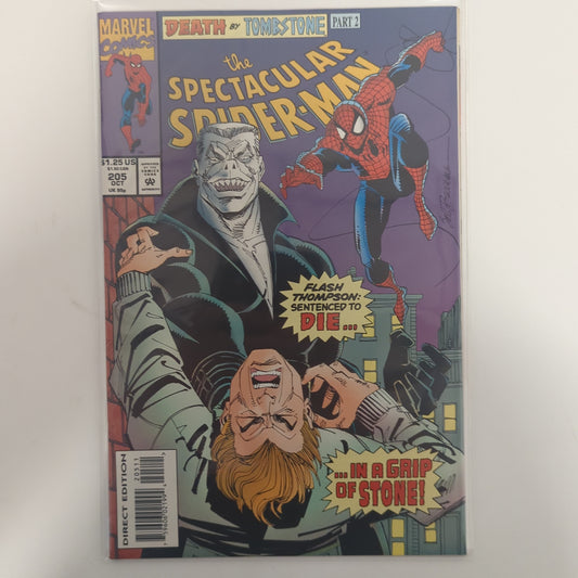 The Spectacular Spider-Man #205