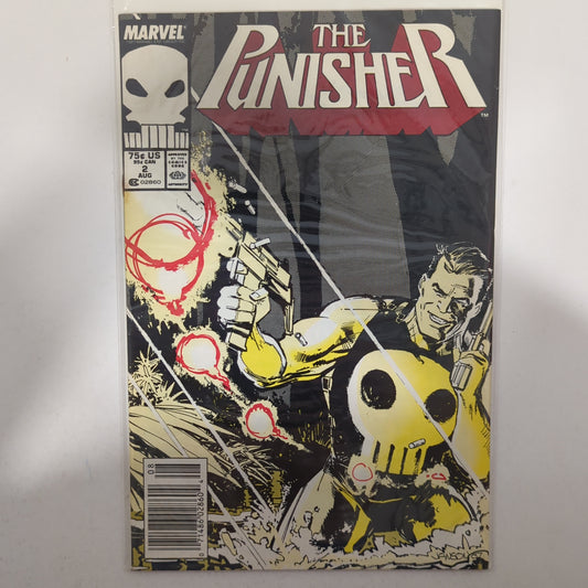 The Punisher #2 Newsstand