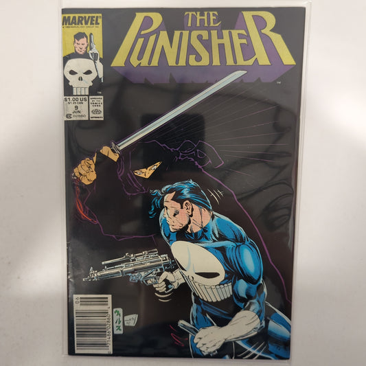 The Punisher #9 Newsstand