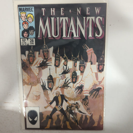 The New Mutants #28