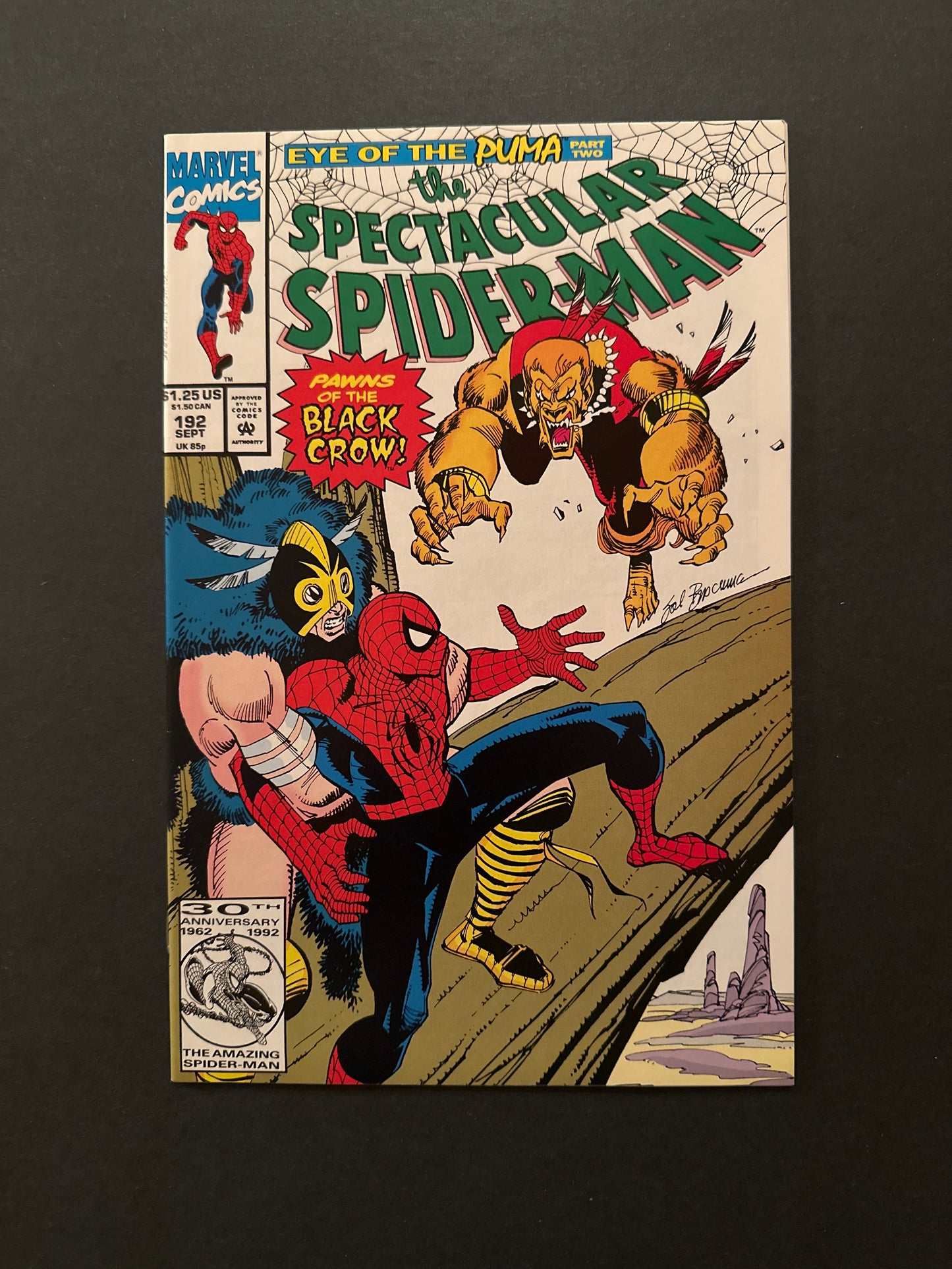 Spectacular Spider-Man #192 1992