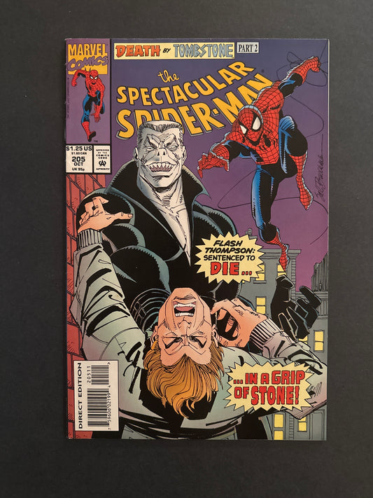 Spectacular Spider-Man #205 1993