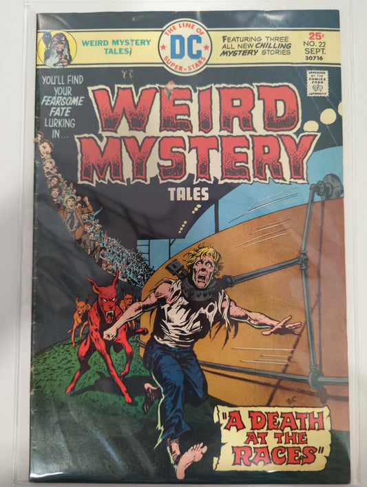 Weird Mystery #22